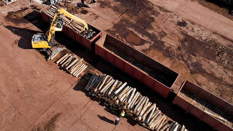 A birdseye view of logs being loaded into a freight train.